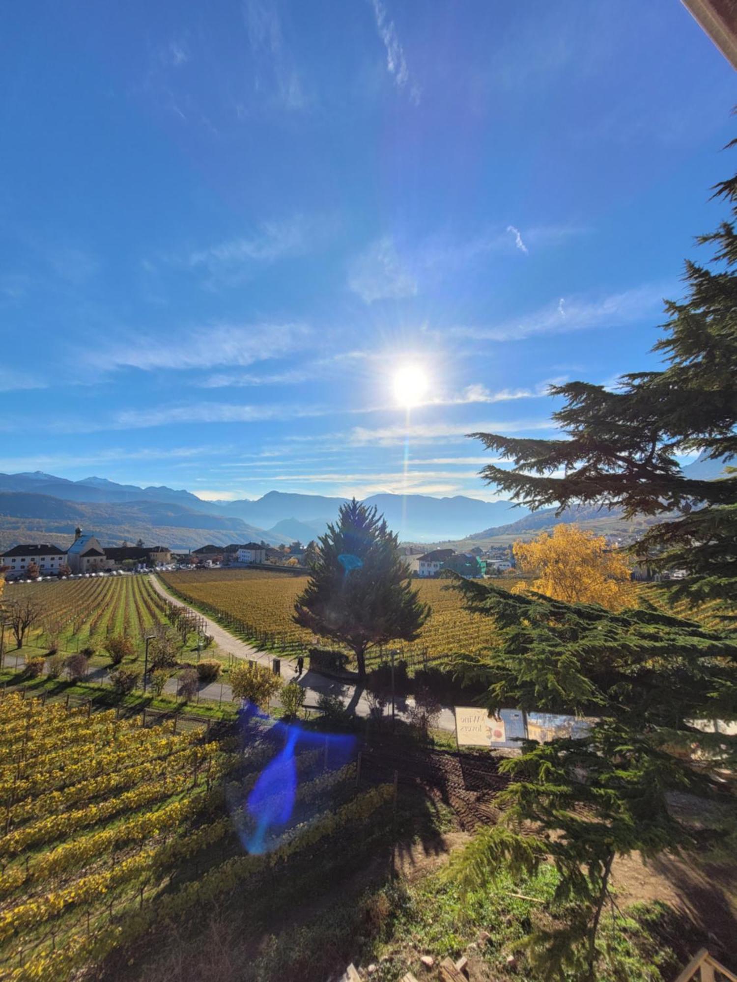 Castel Sallegg Suites Adults Only Caldaro Zewnętrze zdjęcie