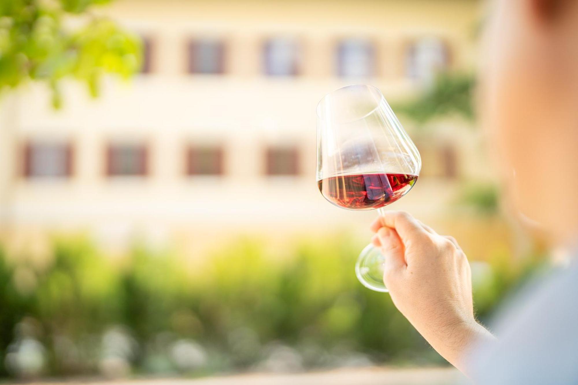 Castel Sallegg Suites Adults Only Caldaro Zewnętrze zdjęcie